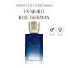Аромат E31 по мотивам Ex Nihilo Blue Talisman