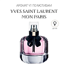 Аромат Y1 по мотивам Yves Saint Laurent Mon Paris